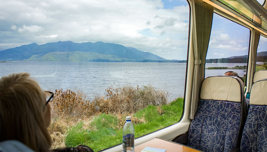 TrazAlpine, New Zealand